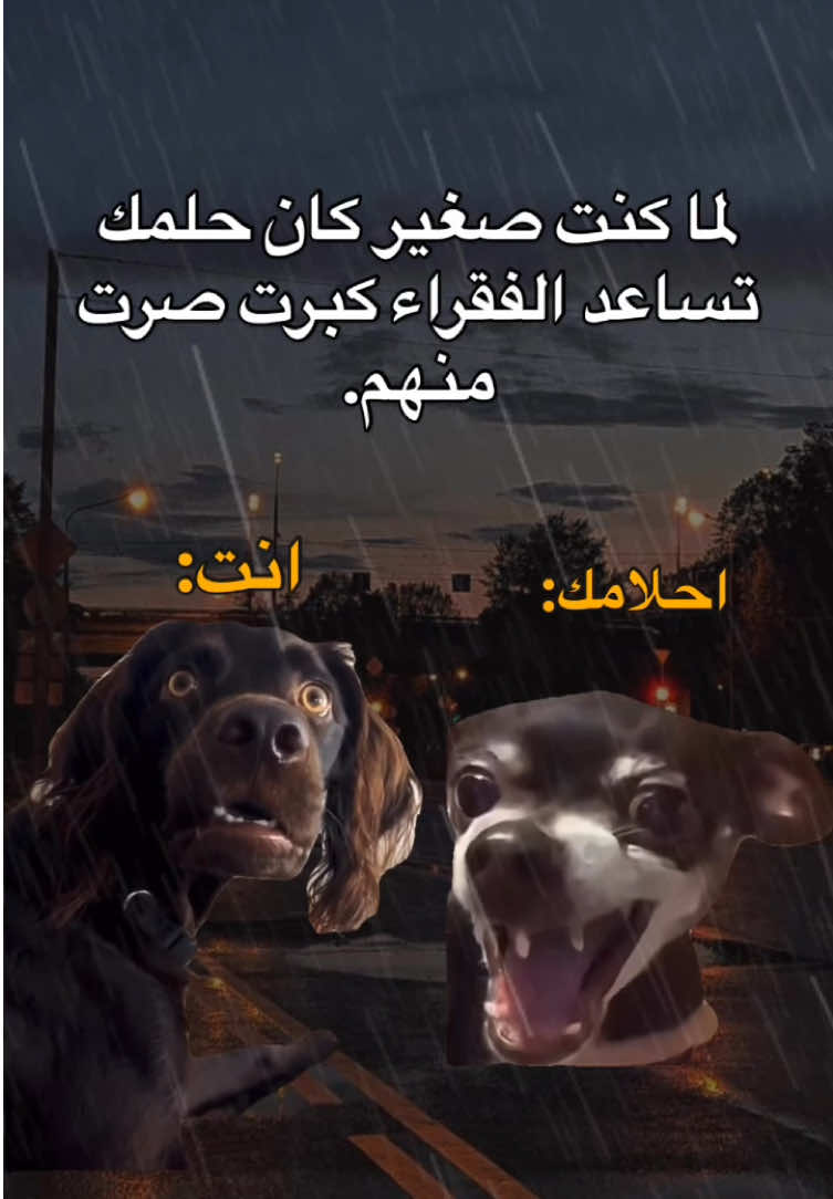 حقيقة🤣🤣🤣. #fyp #viral #explore #الشعب_الصيني_ماله_حل😂😂 #مالي_خلق_احط_هاشتاقات #foryou #memes #منشن_للي_تحبه #طاقيه_طاقيها😁❤️💍 #حقيقة #ميمز_العرب 