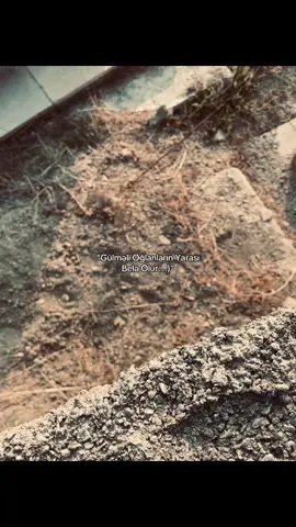 Gülməli oğlanlarınn yarasıı)))❤️‍🩹❤️‍🩹