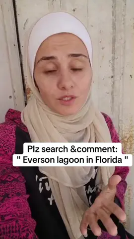 Been dying to experience the 31 evermore bay lagoon pool ever since I saw it from my plane window last year and my dreams finally came true. best pool in Orlando hands down.#eversonlagoonflorida #orlandoflorida #TravelTikTok #travelbucketlist #fyp