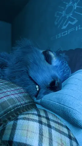 No blanket was dirtied or mistreated during this sequence. ⛔️