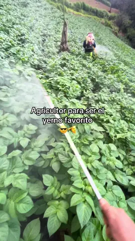 #agricultura #contenido #papa #agricultor 