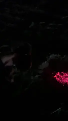 ❤️#علي_بحر #fyp #foryoupage #foryou #هواجيس 