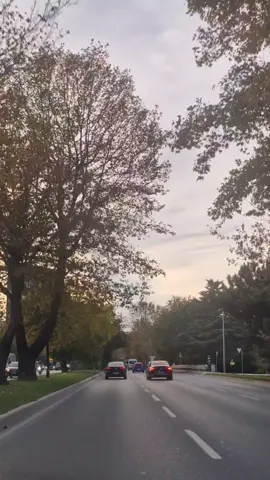 #مساء_الخير #طمأنينه #هدوء 