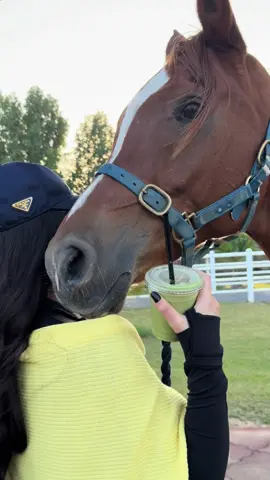 تلعب وانا حبل الرسن في يديا 🐎 #fypシ #explore #explorepage #fy #foryou  