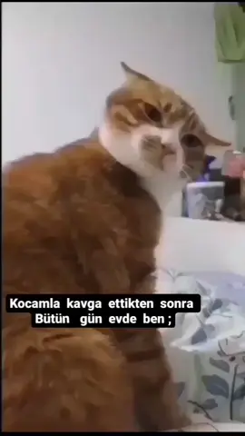 Kimler böyle😂#takipet #kesfet #keşfetbeniöneçıkar #destek 