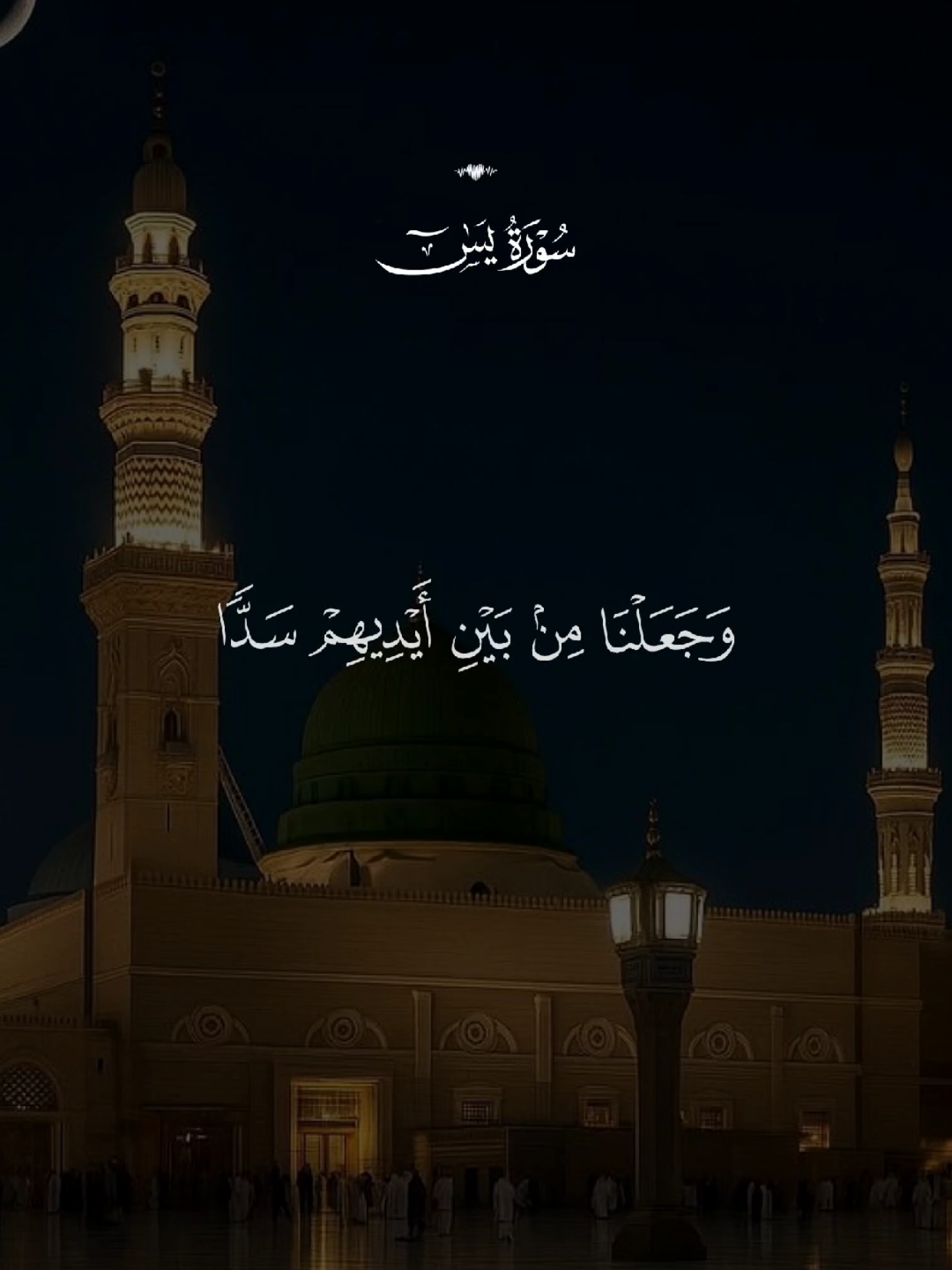 #قران #quran #قران_كريم #quran_alkarim #القران_الكريم 