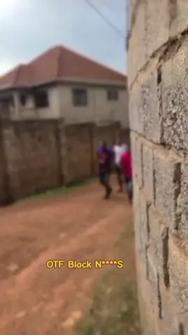 #foryoupage #trend Black N****S