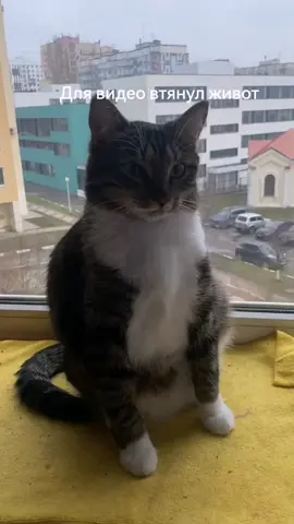 #локи #локистрайк #локалют 