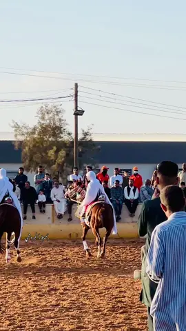 تفرج للنهايه واستمتع #نوروناباسم_الفارس_والجواد🔥❤️ #مصراته #عدسة_حمزة_الجروشي📷 #الشعب_الصيني_ماله_حل😂😂 #فرسان_ليبيا 