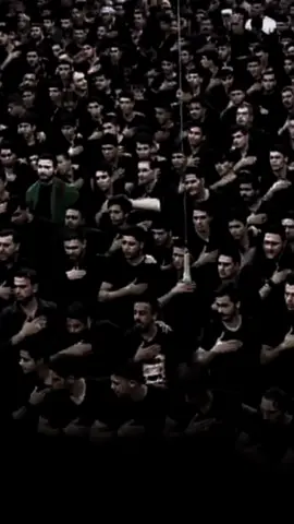 استشهاد فاطمة الزهراء  .  .  .  .  .  .  .  #يا_علي #يا_زهراء  #باسم_الكربلائي  #capcut #قالب_كاب_كات 