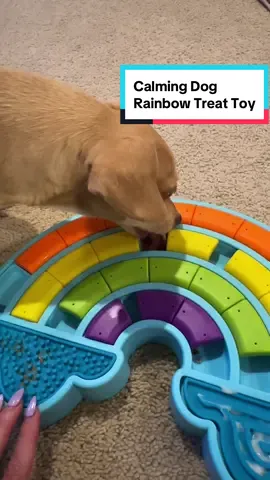 This was an instant win for Mac! 🐶🌈🦴 #dogtoy #tiktokshop #fyp #dogsoftiktok 