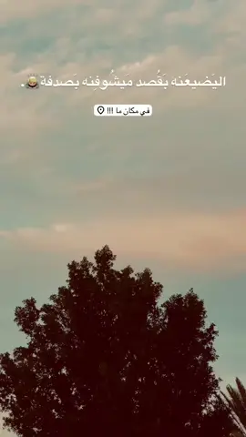 #تصميم_فيديوهات🎶🎤🎬 #لايك_متابعه_اكسبلور #اعادة_النشر🔃 #تفاعلاتكم#حتى_استمر_وياكم_بالنشر .