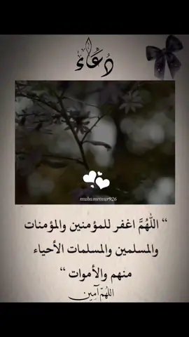 #اللهم أغفر لي ولوالدي وللمؤمنين والمؤمنات الاحياء منهم والاموات 🤲✨#آمين_يارب_العالمــــــين #دعاء_يريح_القلوب #قران #اللهم_اغفرلي_ولوالداي 