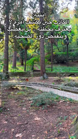 علمتني الحياه_ربما يكون المكان أكثر رومانسيه في يلوا عندما تبدأ اوراق الشجر بالتساقط المكان مريح للاعصاب والطمأنينه_ ام كلثوم القلب يعشق كل جميل#الشعب_الصيني_ماله_حل😂😂 #اكسبلورexplore #عباراتكم_الفخمه🦋🖤🖇 #ahly_love #عبارات_جميلة 