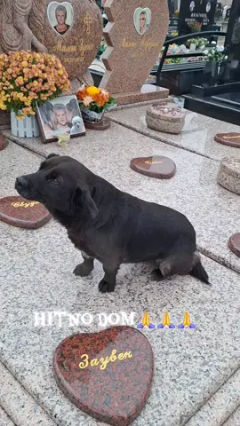 Udomljena🙏🙏🙏🙏