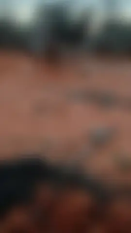 #galmudugnimo #xarardheerebilan🥰❤️ #💚💙❤️🦁 #dhaqandhoor2 #💚💙❤️🦁 