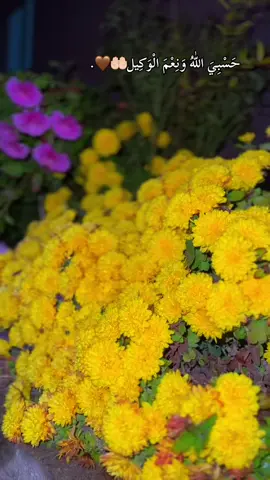 حسبي الله ونعم الوكيل 🤎🤲🏻#fypシ #viral #tiktok #foryou #selwa🦋  