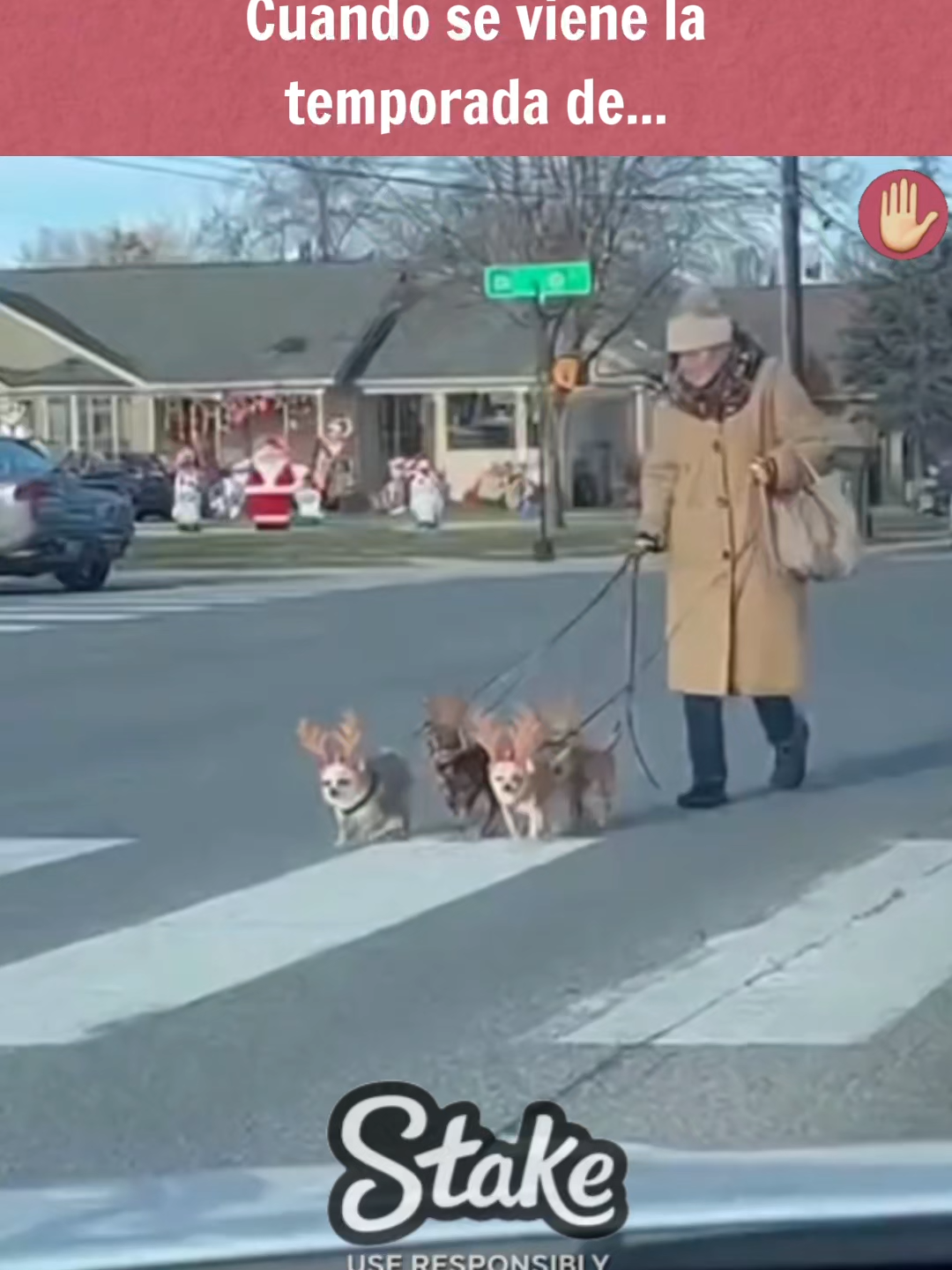 Se viene la temporada de....