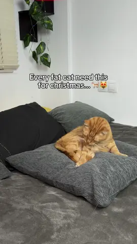 Get your meowchase toy from our profile💝  #gifts #christmas #cats 