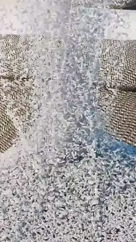 What If All Rice Became Rice Krispies 🤔