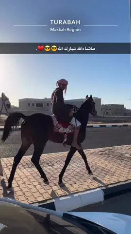 #خيل🐎 #لايك #تربة_البقوم #foryou #اكسبلور 