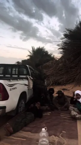 #ميايسه_اولاداسليمان_سبها_طيوري🔥 #سبها_ليبيا_الجنوب_الليبي_المنشية @﮼خالد ﮼مياسي @عمر بن خالد 🦅 @﮼ابكر،بن،خالد