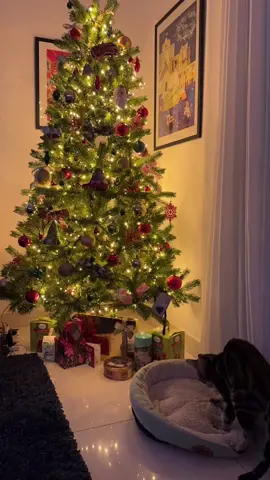 the kittens yearn for the mines