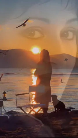 #وردة_الجزايرية🌹 #طربيات_الزمن_الجميل_🎼🎶🎻♥️🌹 