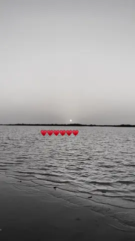 #حبيبي🤍💍 #اكسبلور #تصويري📸 #شعب_الصيني_ماله_حل #مافيني_حيل_احط_هاشتاقات 