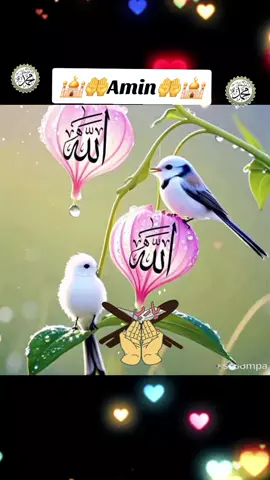 🕋🥀🕌🥀🤲Amin🤲🥀🕌🥀🕋