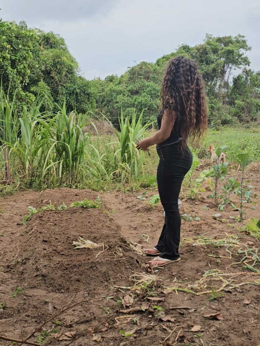 Hoje foi dia de plantar horta🥰 #fy 