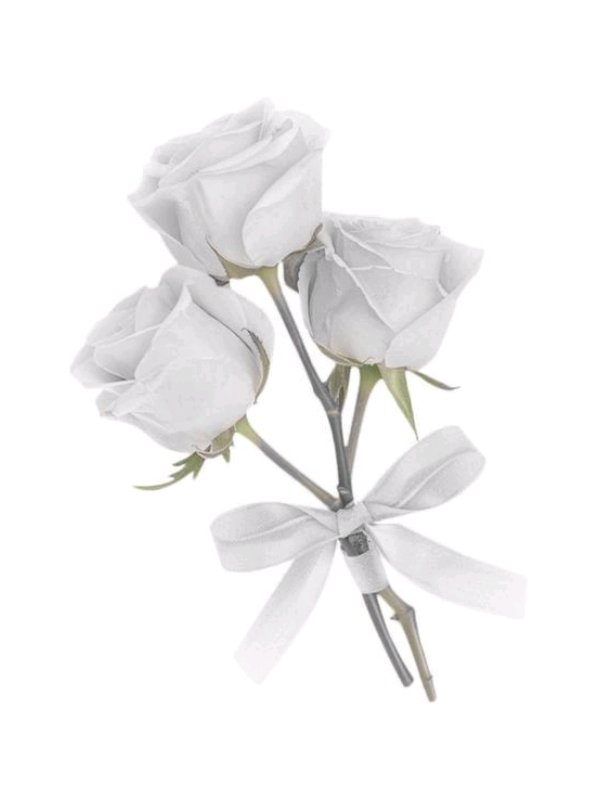 #Husk 𝐇𝐔𝐒𝐊 -𓃠 ｀≧Zz         `彡. .   𝐇𝘢𝘻𝘣𝘪𝘯 𝘏𝘰𝘵𝘦𝘭  𝘓𝘰𝘷𝘦 𝘪𝘯 𝘢 𝘣𝘰𝘵𝘵𝘭𝘦 #hazbinhotel #huskhazbinhotel #Love #adiccion