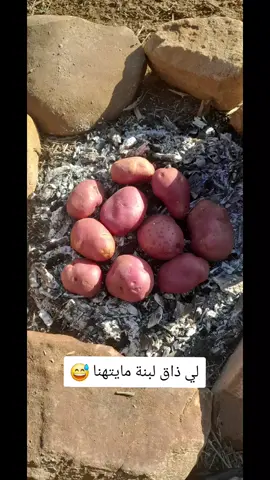 #شعب_الصيني_ماله_حل😂😂 #تهلاو_ولاد_بلادي🇩🇿💛👌 #تيارتي_و_نموووت_عليكم___قانون 