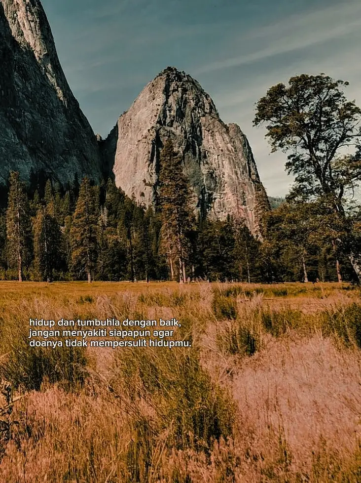 🍗 Bahan Utama 1 ekor ayam (potong 10–12 bagian) 1 buah jeruk nipis (peras) Garam secukupnya 3 lembar daun jeruk 2 batang serai (geprek) 1 ruas jahe (geprek) 2 batang daun bawang (iris) Minyak untuk menumis --- 🌶️ Bahan Bumbu Halus 10 buah cabai merah keriting 5–10 buah cabai rawit (sesuai selera pedas) 6 siung bawang merah 4 siung bawang putih 1 buah tomat 1 ruas kunyit 1 sdt garam 1 sdm gula 1 sdt kaldu bubuk --- 🔥 Cara Membuat 1. Siapkan ayam Cuci bersih ayam, beri perasan jeruk nipis dan garam. Diamkan 10 menit agar tidak amis. 2. Tumis bumbu Haluskan semua bumbu. Panaskan minyak, tumis bumbu halus sampai harum dan berubah agak merah gelap. Masukkan serai, jahe, dan daun jeruk. 3. Masak ayam Masukkan ayam, aduk rata sampai ayam terbungkus bumbu. Tambahkan sedikit air (±200 ml). Masak sampai ayam empuk dan bumbu meresap. 4. Finishing Cek rasa: tambah garam/gula bila perlu. Masukkan daun bawang. Masak sampai kuah agak menyusut dan berminyak. --- ✔️ Tips Biar Enak Pakai cabai merah segar biar warna lebih cerah. Kalau mau lebih pedas, tambahkan cabai rawit hijau di akhir. Boleh panggang ayam sebentar sebelum dimasak agar lebih wangi. #motivation #fypagee 