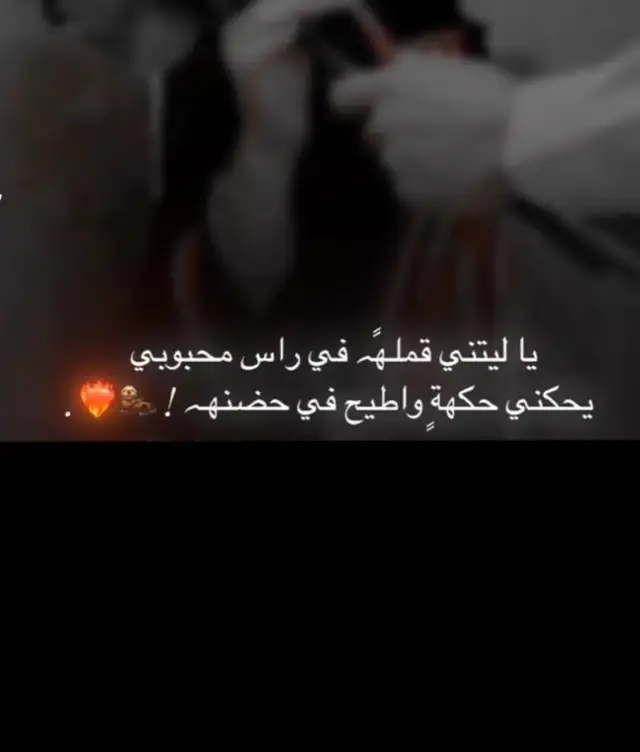 #اليمن🇾🇪 #شعروقصايد_خواطر_غزل_عتاب #السعودية_الكويت_مصر_العراق_لبنان #شعروقصايد_خواطر_غزل_عتاب #صنعاء_تعز_عدن_اب_ذمار_حجة_حضرموت 