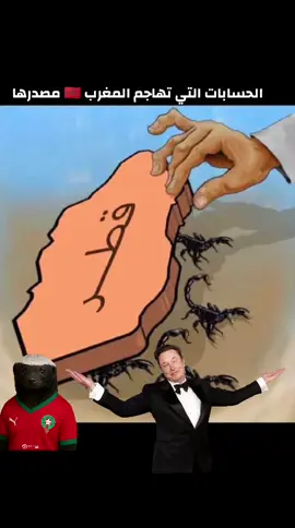 #الصحراء_المغربية🇲🇦🇲🇦🇲🇦  #maroc🇲🇦  #المغرب🇲🇦  #قطر🇶🇦 #algerie🇩🇿 