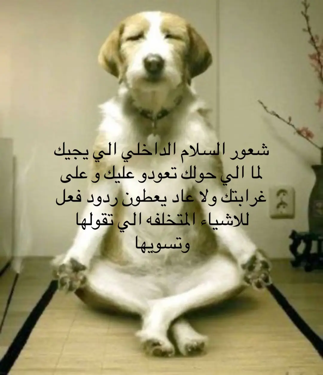 #fyp #foryoupage #viral 