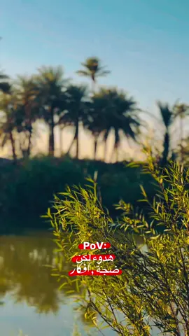 ارد اعاتب والعتب  مسمووحح  💔😔 #ستوريات #صعدوو_ءڪڪسبلور_للايڪ_متابعه #باسم_الكربلائي_رادود_ما_له_مثيل #تصويري📷 #لايككات생일축하해사랑해❤🦄  @Hussein  @Hussein  @Hussein 