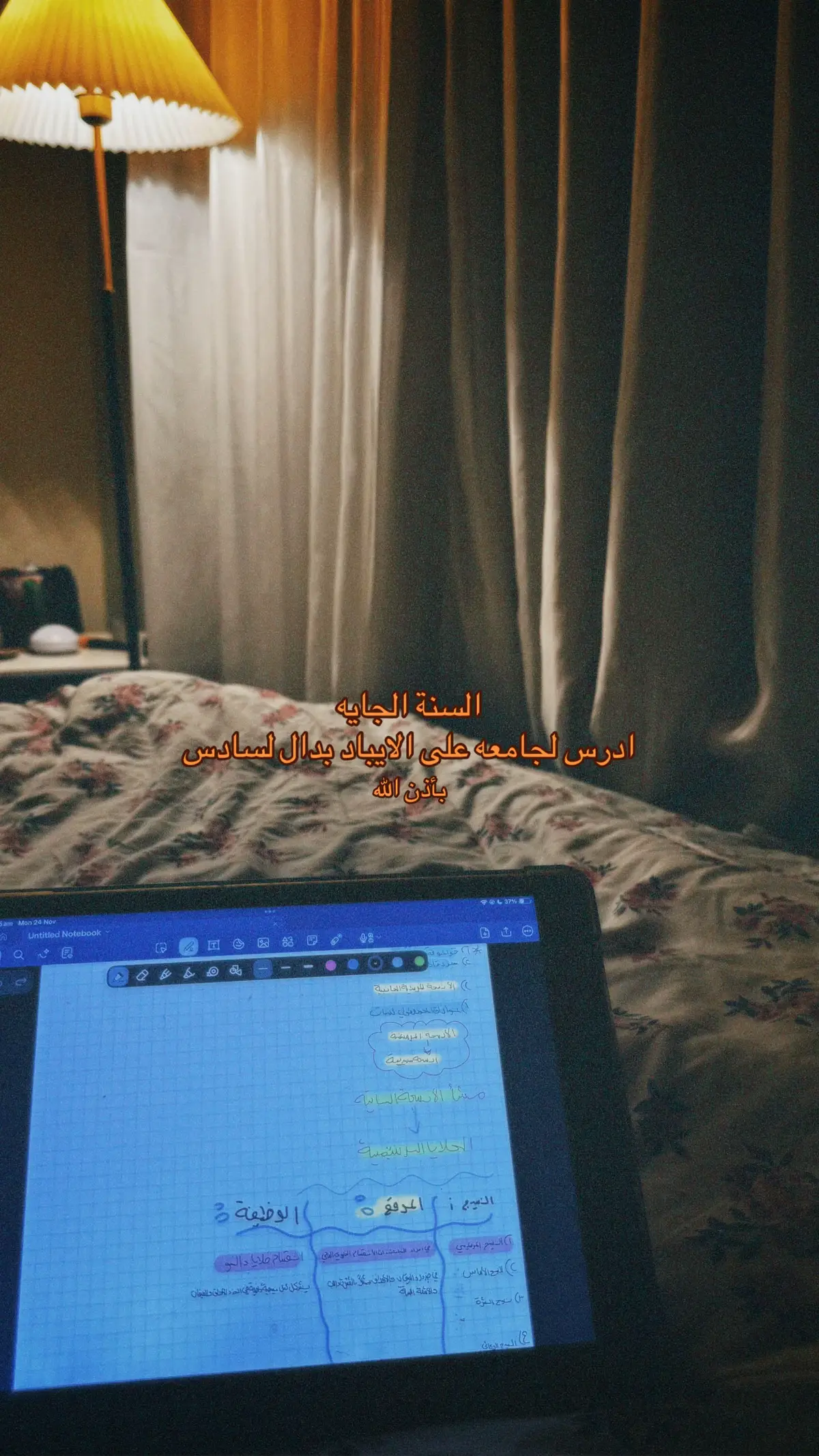 ان شاءالله 🥹 #fyp #سادس_اعدادي 