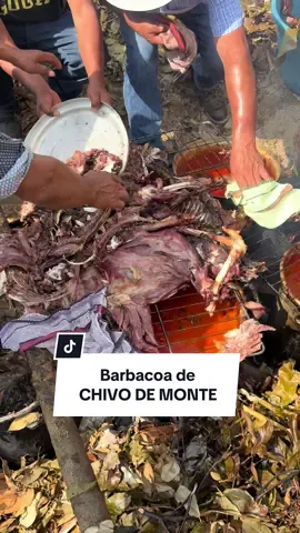 Barbacoa de CHIVO DE MONTE en los Pueblos de Oaxaca