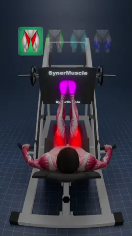 🦵 Your foot placement on the leg press completely changes which muscles you activate.
 Most people do every rep the same way and never hit their legs from all angles.
 Here’s what each stance really targets:
 ✔️ High & Wide → Glutes + Hamstrings
 ✔️ Neutral (Shoulder-Width) → Overall Quad Dominant
 ✔️ Wide Toes-Out → Inner Quads (Vastus Medialis)
 ✔️ Low & Narrow → Outer Quads (Vastus Lateralis)
 Small changes = massive differences in muscle activation.
 Train with intention… not autopilot.
 Follow @Synermuscle for science-based training that actually makes sense 💪🔥 
 #synermuscle  #legpress  #legday  #quadworkout  #gluteworkout 
