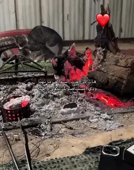 كأنك ماشفت شي أهم شي شبة النار 😂#fyp #foryou 