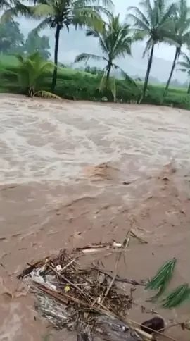 Kaline banjir.. wonogiri etan blebah boloo #banjir #cuacawonogiri #wonogirietan #jatisrono