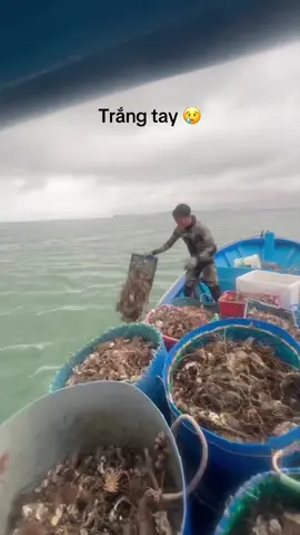 Mất hết rồi😢😢 3,4 tấn còn gì là tôm nữa😔😔 @Khởi Minh @ssng trinh 78 @Đình Đôn @HƯNG1603 @Quang Minh trịnh @Anh7  #aedanbien78 