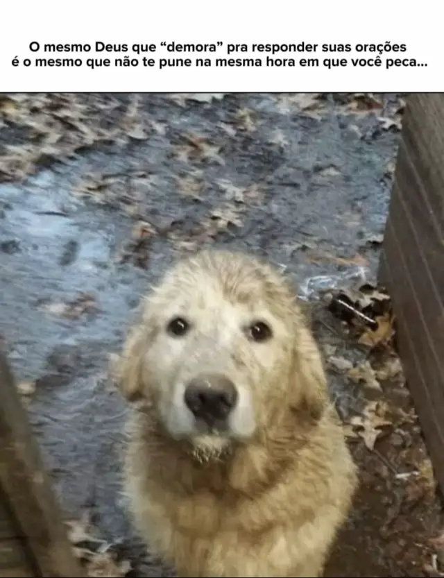 #jesus #perdao #oracao #fe #fy 