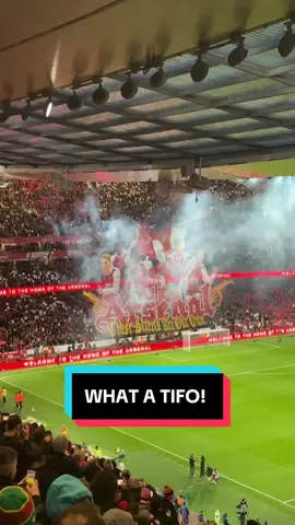 What a Tifo! North London is Red! 🔴 #Arsenal #Tottenham #PremierLeague #footballtiktok #Football  Match: @arsenal vs @spursofficial  @Premier League  23/11/2025