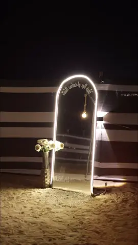 كشته الدانه 🌱🤍🤍🤍..#الكويت🇰🇼 #مخيمات #fypシ゚ #الشعب_الصيني_ماله_حل😂😂 