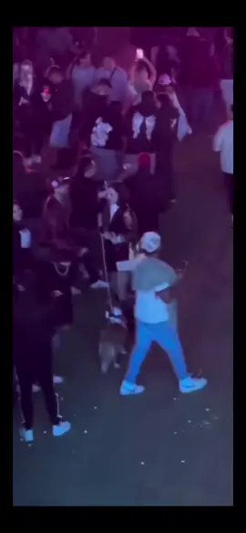 Un perrito ¿EN EL FLOW FEST? Ojo aquí @Coca-Cola Flow @Coca-Cola Gracias por exponerlo @lalocadelosperrosmex 