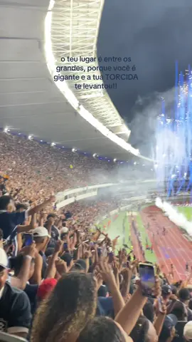 O LEÃO SUBIU!!!!!!! #clubedoremo #fyp #amaiordonorte #serieA 