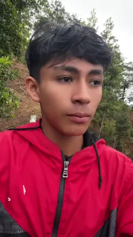 #quecagadachele #puravida #Bolo #puravida #elbipolar 